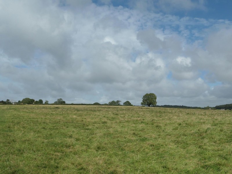 Scene from the Wirral