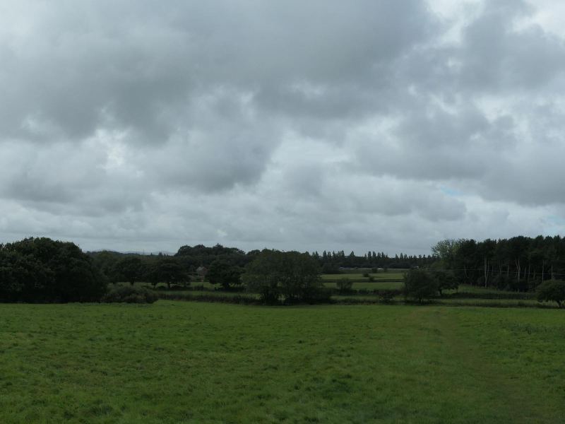 Scene from the Wirral