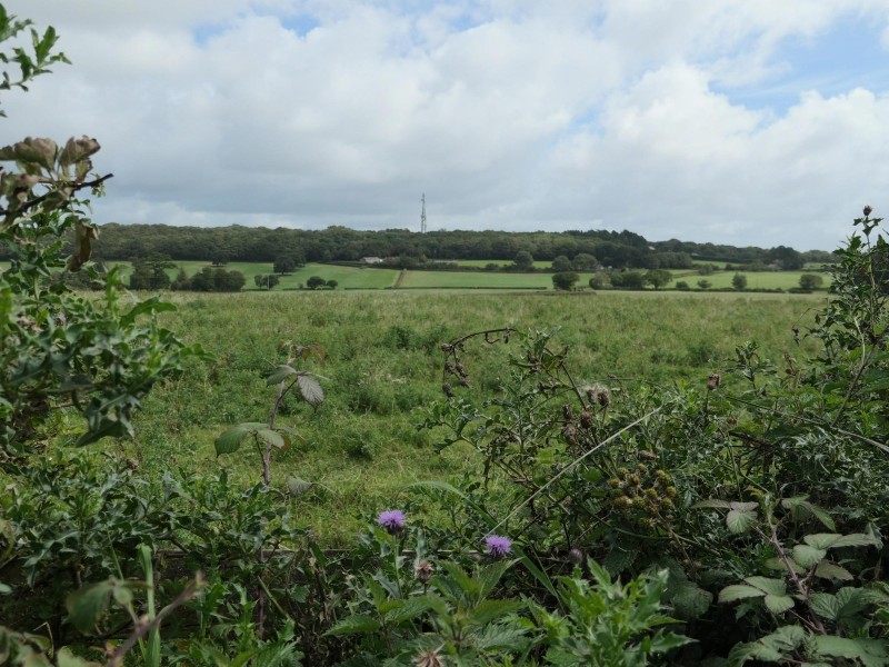 Storeton hill from the west.