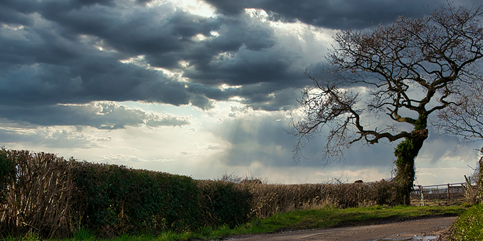 Wirral's Farms and Fields