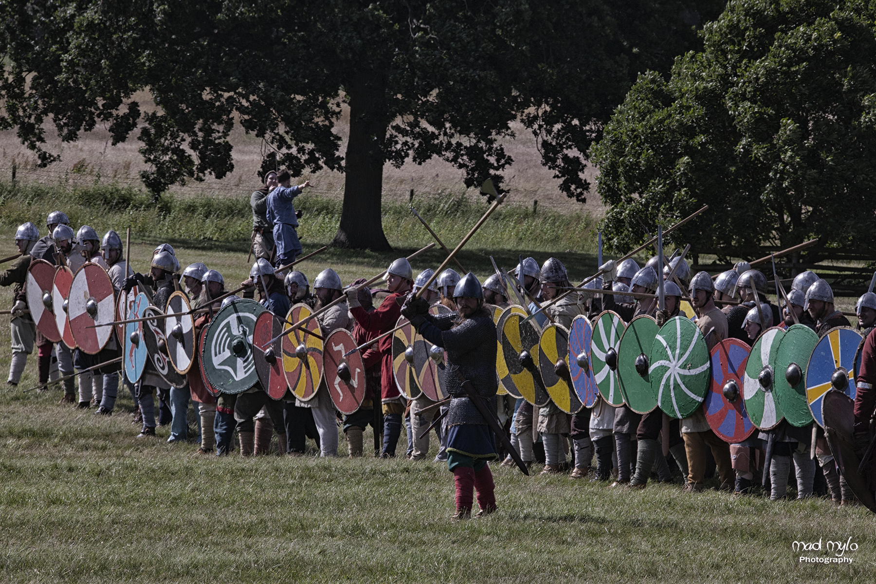 Vikings line up for battle