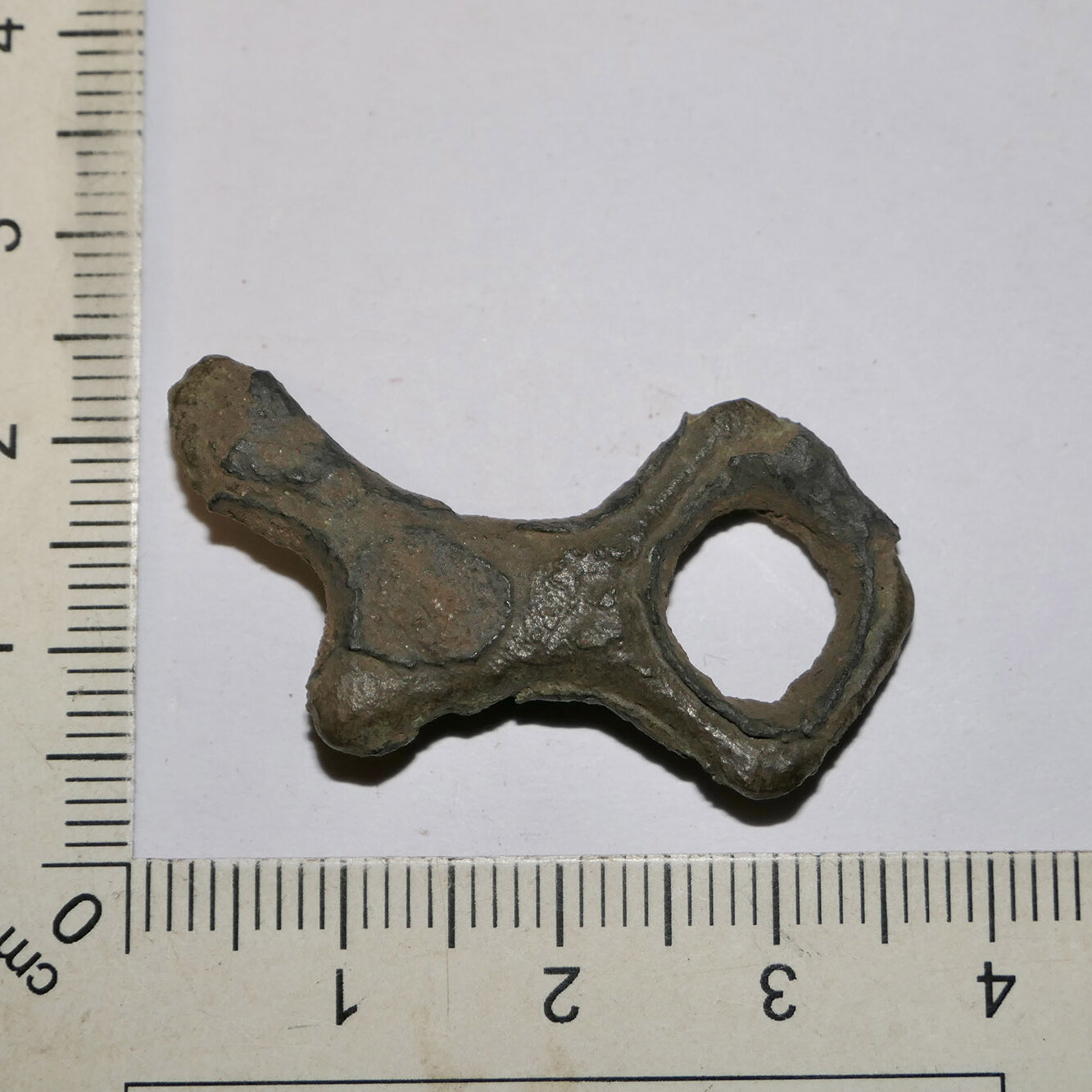 Bridle Bit