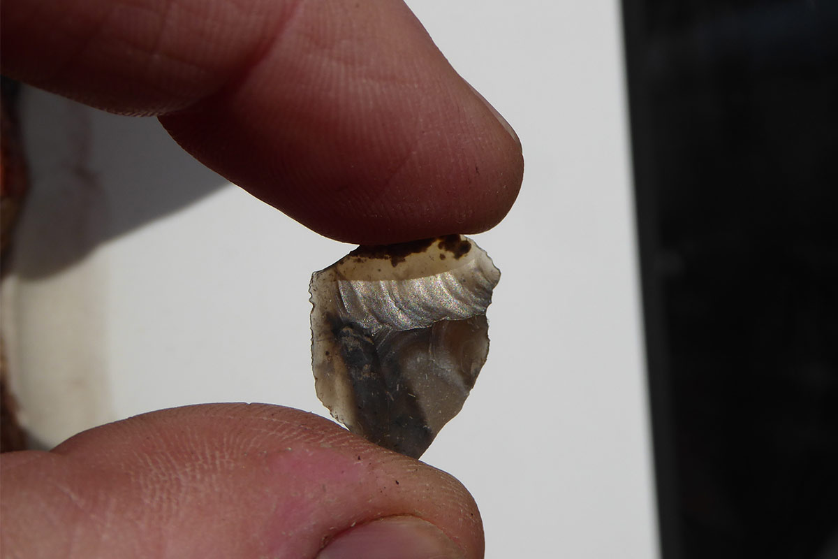 This is a flint flake fragment found when field walking. It has been dated from 4000BC - 2000BC.